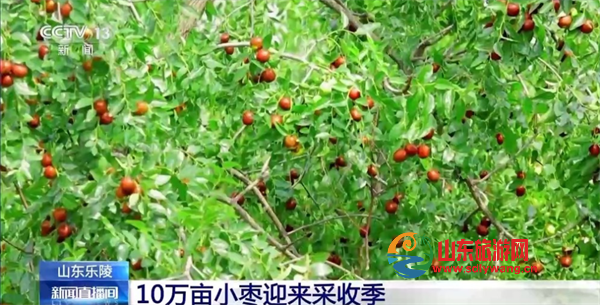 屏幕截图 2024-09-10 133435.png